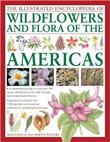 The Illustrated Encyclopedia of Wild Flowers and Flora of the Americas: